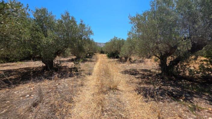 Image No.6-Terrain à vendre à Agios Vasillis