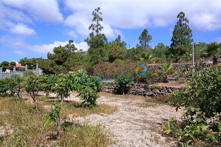 Image No.15-4 Bed Finca for sale