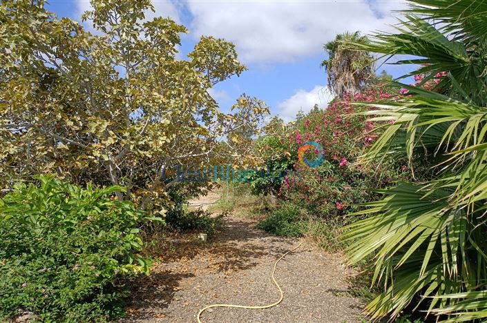 Image No.16-4 Bed Finca for sale