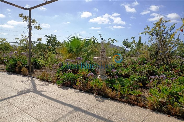 Image No.18-4 Bed Finca for sale