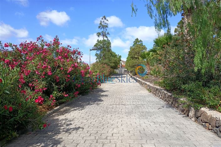 Image No.19-4 Bed Finca for sale