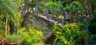 Sweet Wind Estate 8 Acres Image 10