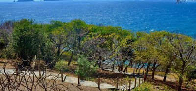 Sweet Wind Estate 8 Acres Image 5