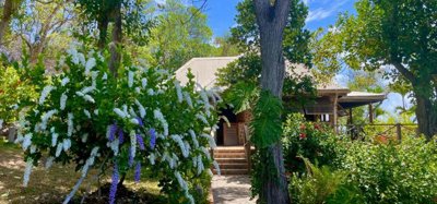 Sweet Wind Estate 8 Acres Image 8