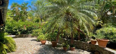 Sweet Wind Estate 8 Acres Image 9