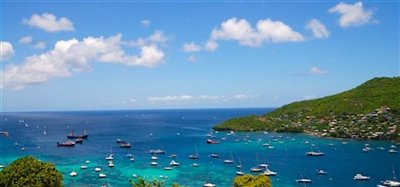 1 - Mount Pleasant, Property