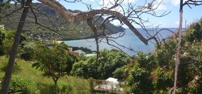 Lower Bay  and  Princess Margaret Ridge Land Plot 2 Image 9