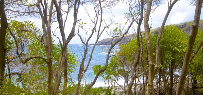 Image No.8-Propriété à vendre à Bequia