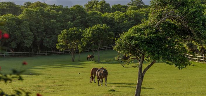 Image No.5-8 Bed Property for sale