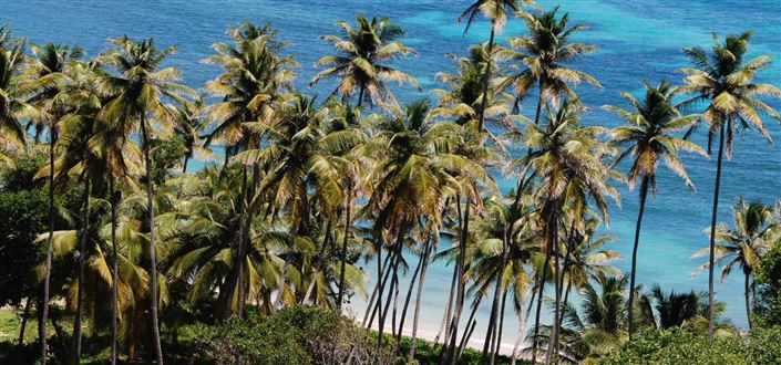 Image No.4-Property for sale