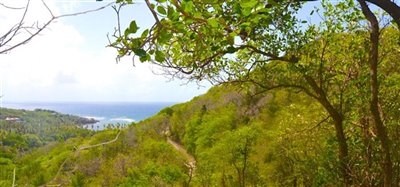 Crown Point Land Lot A18 Image 6