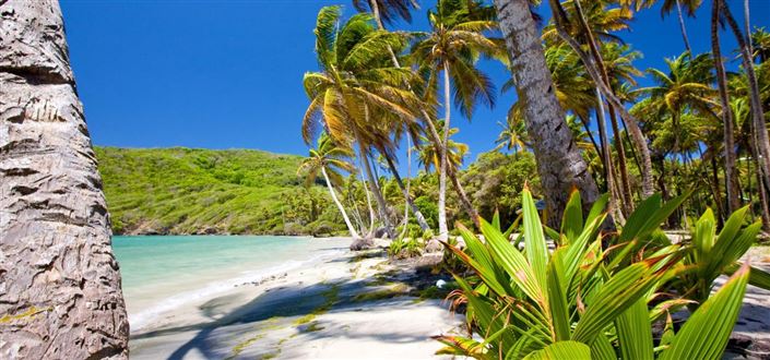 Image No.8-Property for sale