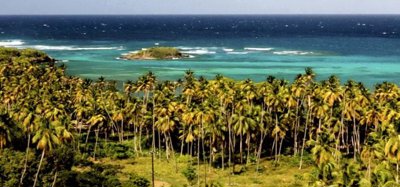 Firefly Beachfront Land Bequia Image 6