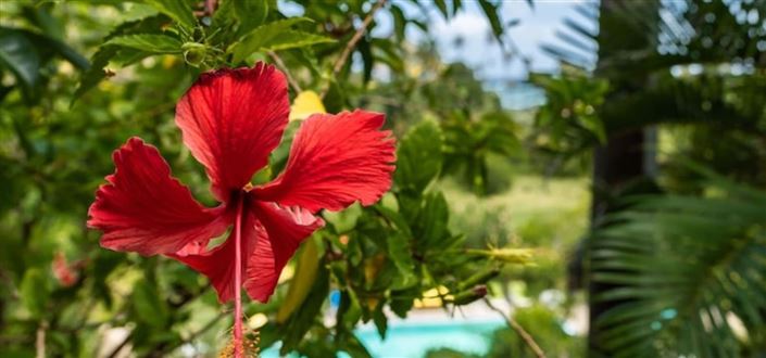 Image No.2-Propriété de 6 chambres à vendre à Spring