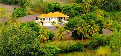 David Estate House and 8 Acres of Fertile Land Image 2