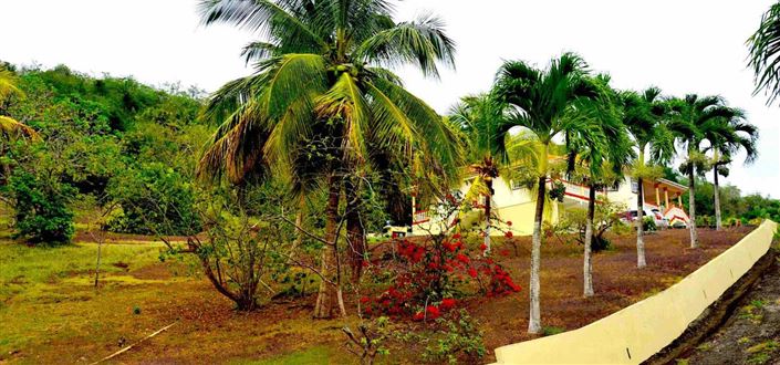 Image No.5-Propriété de 4 chambres à vendre à Saint Vincent