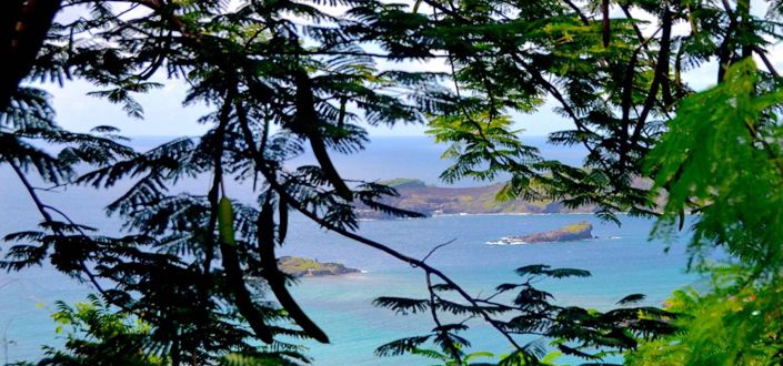 Image No.7-Property for sale