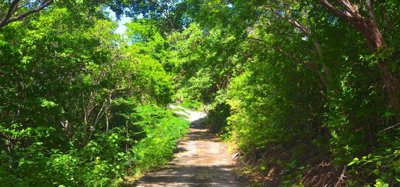 Bequia Estates LOT 1 Image 8