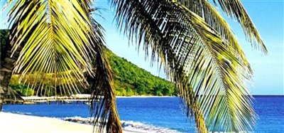 Beachfront Land Image 4