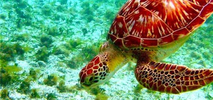 Image No.7-Property for sale