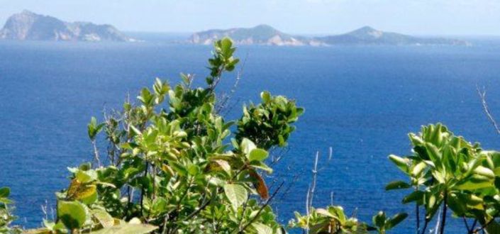 Image No.4-Property for sale