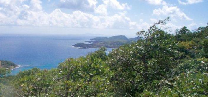 Image No.6-Property for sale