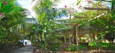 Waterfront Hotel  and  Restaurant Bougainvilla Image 3