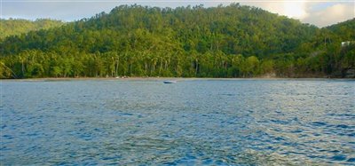 1 Acre Beachfront Lot Image 2