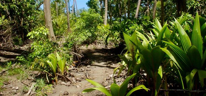 Image No.6-Property for sale