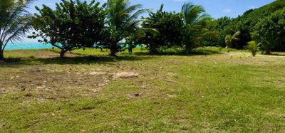 1 Acre Beachfront Land Image 2