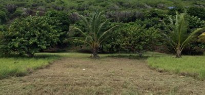1 Acre Beachfront Land Image 3
