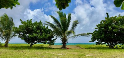 1 Acre Beachfront Land Image 4