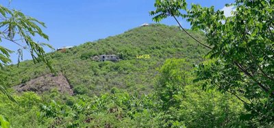 Friendship Heights Lot 25 Image 5