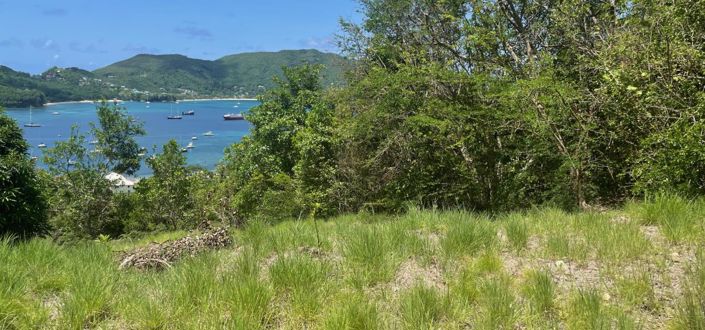Image No.10-Propriété de 6 chambres à vendre à Bequia