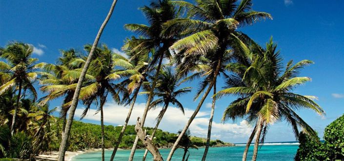 Image No.2-Propriété à vendre à Spring