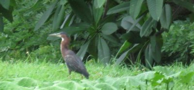 Lawler Hill Private Estate Image 7