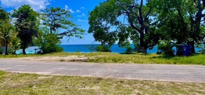 Lower Bay 1 Acre Prime Beachfront Land Image 6