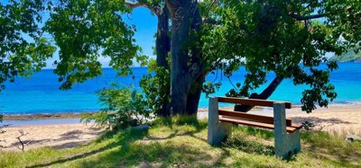 Lower Bay 1 Acre Prime Beachfront Land Image 7