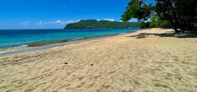 Lower Bay 1 Acre Prime Beachfront Land Image 9