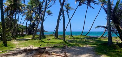 Crown Point Land GR 991 Lot 6 Image 10