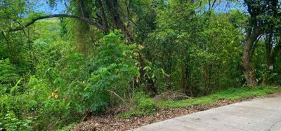 Crown Point Land GR 991 Lot 6 Image 2