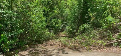 Crown Point Land GR 991 Lot 6 Image 3