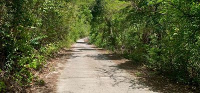 Crown Point Land GR 991 Lot 6 Image 4