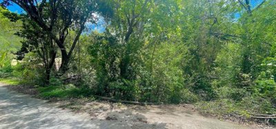 Crown Point Land GR 991 Lot 6 Image 5