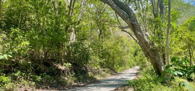 Crown Point Land GR 991 Lot 6 Image 6