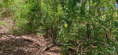 Crown Point Land GR 991 Lot 6 Image 7