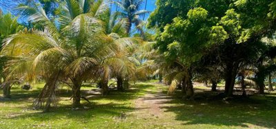 Crown Point Land GR 991 Lot 6 Image 9