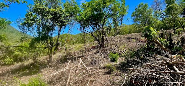 Image No.7-Property for sale