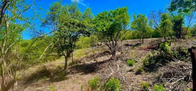 Premium Crescent View Land Plot 2 Image 8