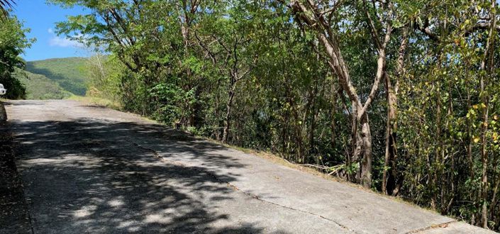 Image No.6-Propriété à vendre à Bequia